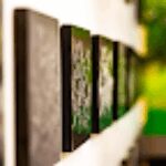 Photo Varas » Taller de Lacado