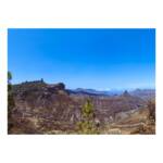 Vidas callejeras » Horizonte de Gigantes