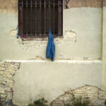 El diletant perplex » Serendipitats