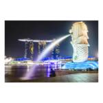 Vidas callejeras » Luces de la Ciudad del León