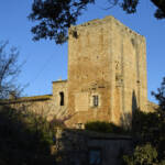 El diletant perplex &raquo; persistències del feudalisme