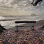 Toni &raquo; Banc amb vistes