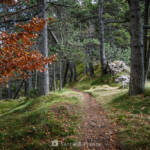 SantiMB Photos » Serpenteando por la cresta