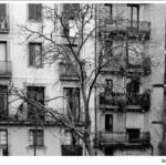 Clic clac foto! &raquo; HIVERN