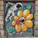 Muros Hablados &raquo; Astro y Flor