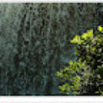 Clic clac foto! &raquo; VIDA (AIGUA I LLUM 1/6)