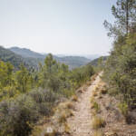 SantiMB Photos » Camino estrecho