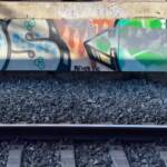 Muros Hablados &raquo; NEVER DIE