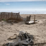 El diletant perplex &raquo; platja d’hivern