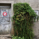 El diletant perplex &raquo; prohibicions