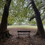 Toni » Banc_i_Natura_03