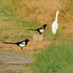 Miguelemele &raquo; Camaradas