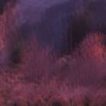 Mirados &raquo; Recordando a Mir II