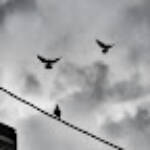 Momentos de un "instante" » Barcelona (Eixample): The Fly 22. The Fly