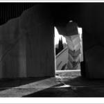 Clic clac foto! &raquo; LA CUA DEL DRAC