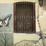 El diletant perplex » Papallona