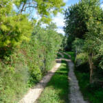 justPictures &raquo; Selva (#6914)
