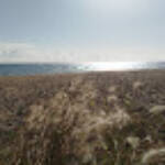 Generació...(imatges latents) &raquo; dia ventós a mar