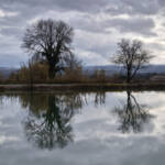 El diletant perplex &raquo; simetries