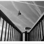 Clic clac foto! &raquo; A DALT I A BAIX