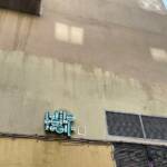 Muros Hablados &raquo; La VIDA es un regalo