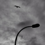 Momentos de un "instante" » Barcelona (Glorias): The Fly 22. The Fly