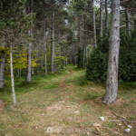 SantiMB Photos » Camino encontrado